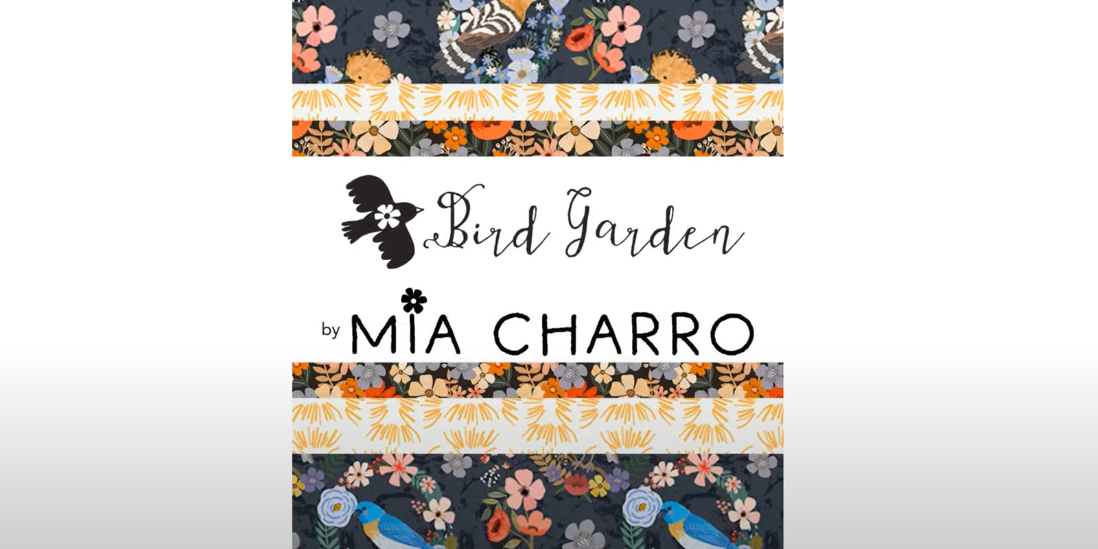 Mia Charro introduces Bird Garden