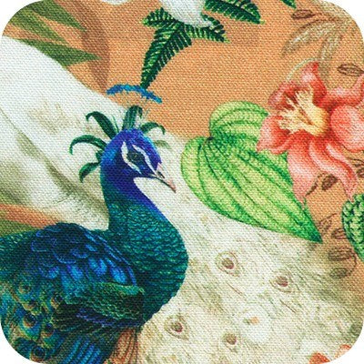 Peacock Paradise