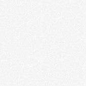 Radial - WHITE || BASICALLY BLACK & WHITE || Patrick Lose Basic