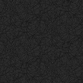 Radial - BLACK || BASICALLY BLACK & WHITE || Patrick Lose Basic