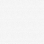 Fronds - WHITE || BASICALLY BLACK & WHITE || Patrick Lose Basic