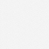 Blossoms - WHITE || BASICALLY BLACK & WHITE || Patrick Lose Basic