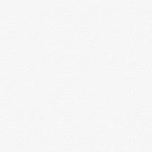 Voronoi - WHITE || BASICALLY BLACK & WHITE || Patrick Lose Basic