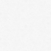 Pop - WHITE || BASICALLY BLACK & WHITE || Patrick Lose Basic