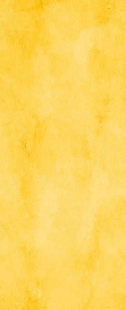 TROPICAL TWIL - SUNBEAM || SUNSET STROKES-STUDIOSCAPES || Patrick Lose Studio