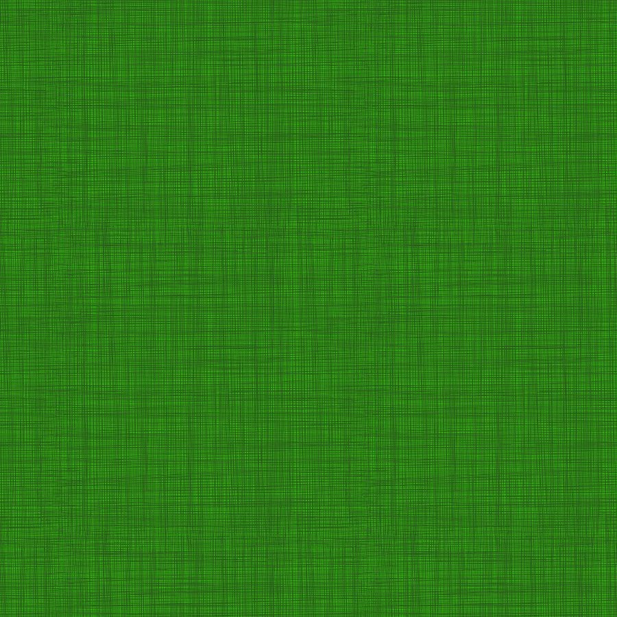 LILY'S IRISH - SHAMROCK || ERIN GO BRAGH || Patrick Lose Studio