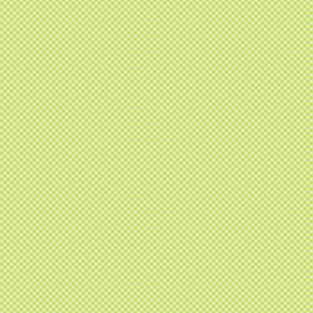 BIAS GINGHAM - MEADOW || ERIN GO BRAGH || Patrick Lose Studio