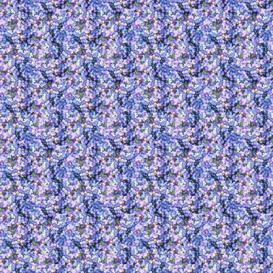 Packed Violets - VIOLACEOUS || EASTER PARADE || Patrick Lose Studio