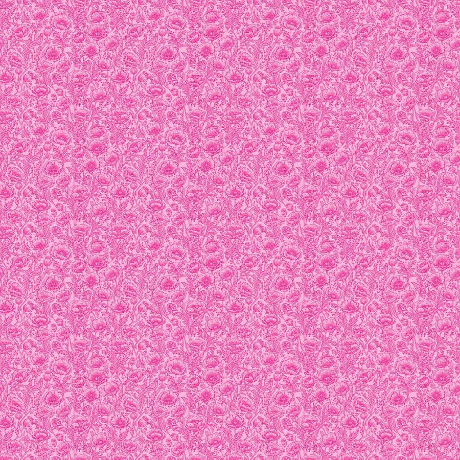 Poppies - PINK || GOOD TOGETHER II-OZIAN || Patrick Lose Studio