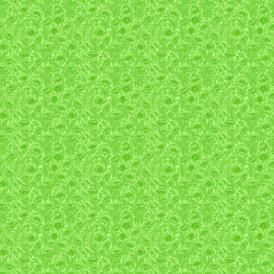 Poppies - GREEN || GOOD TOGETHER II-OZIAN || Patrick Lose Studio