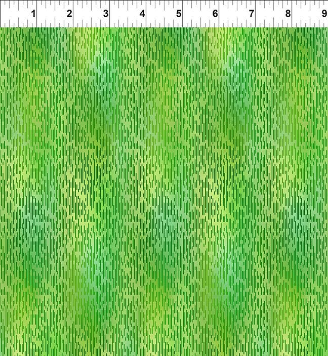 10AGG-3 ll A Groovy Garden