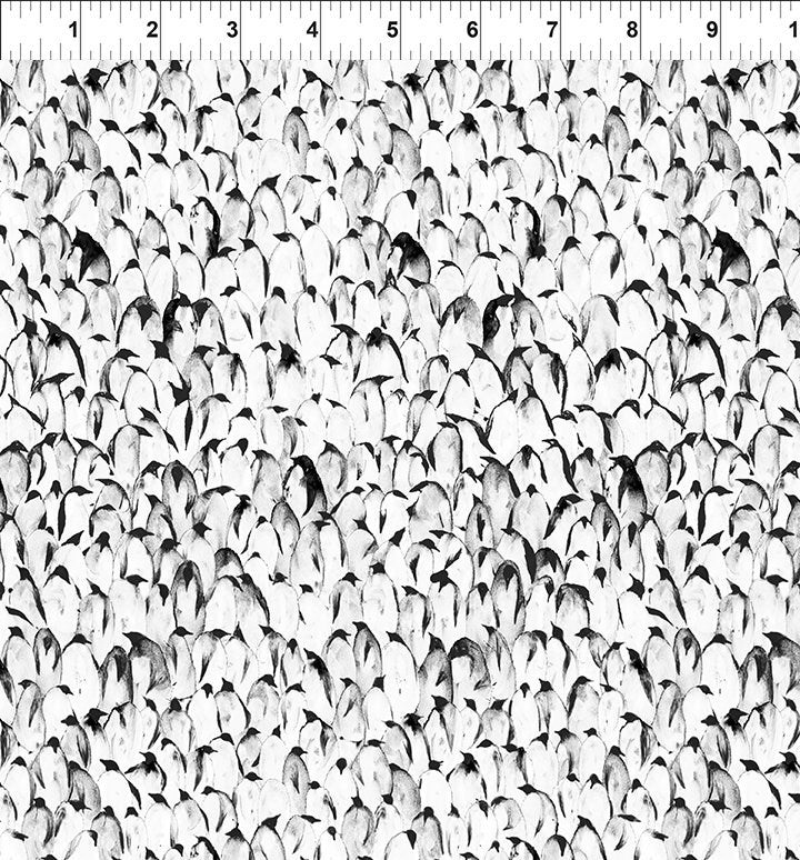 Sketchbook Prints - Penguins || White || In the Beginning