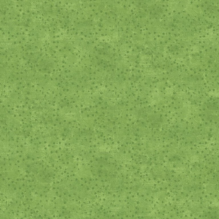DINO TRACKS - Green  || DINO ROAR || Northcott Studio