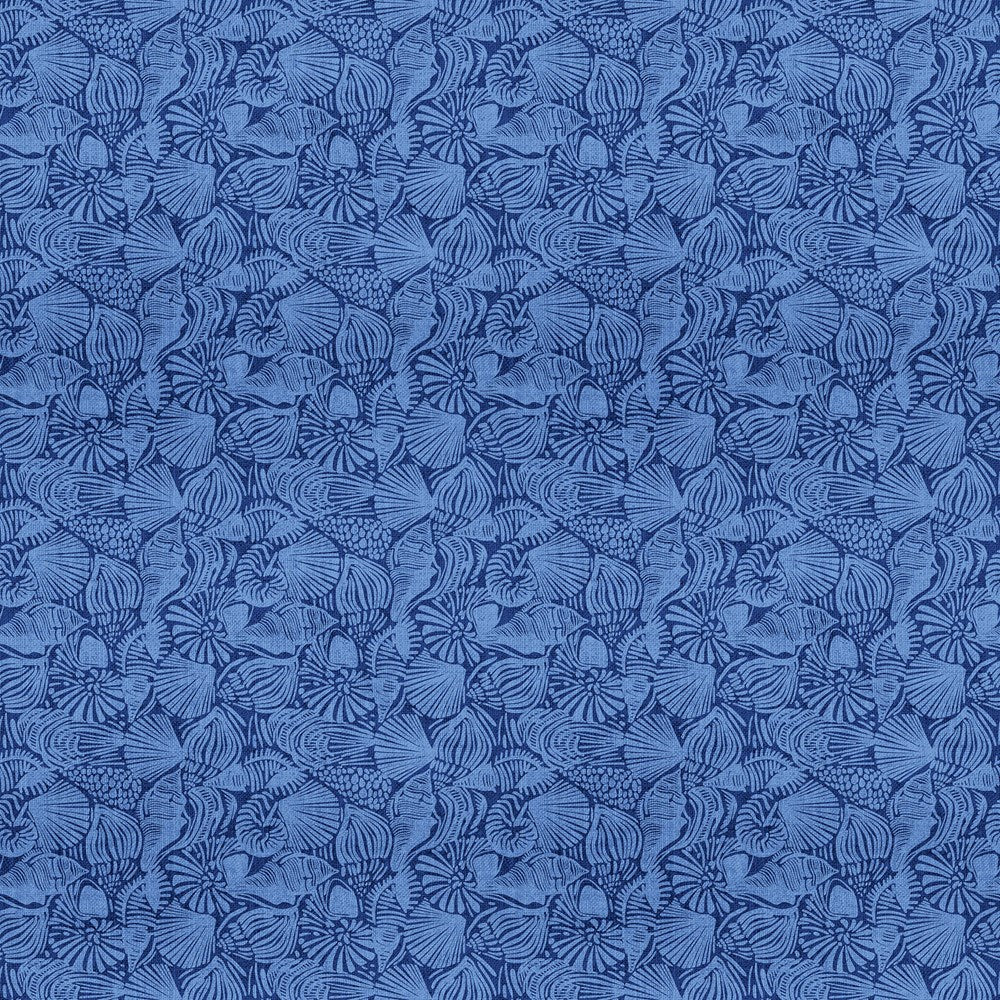 Large Shells - BLUE || TAKE ME TO THE BEACH || Northcott Studio