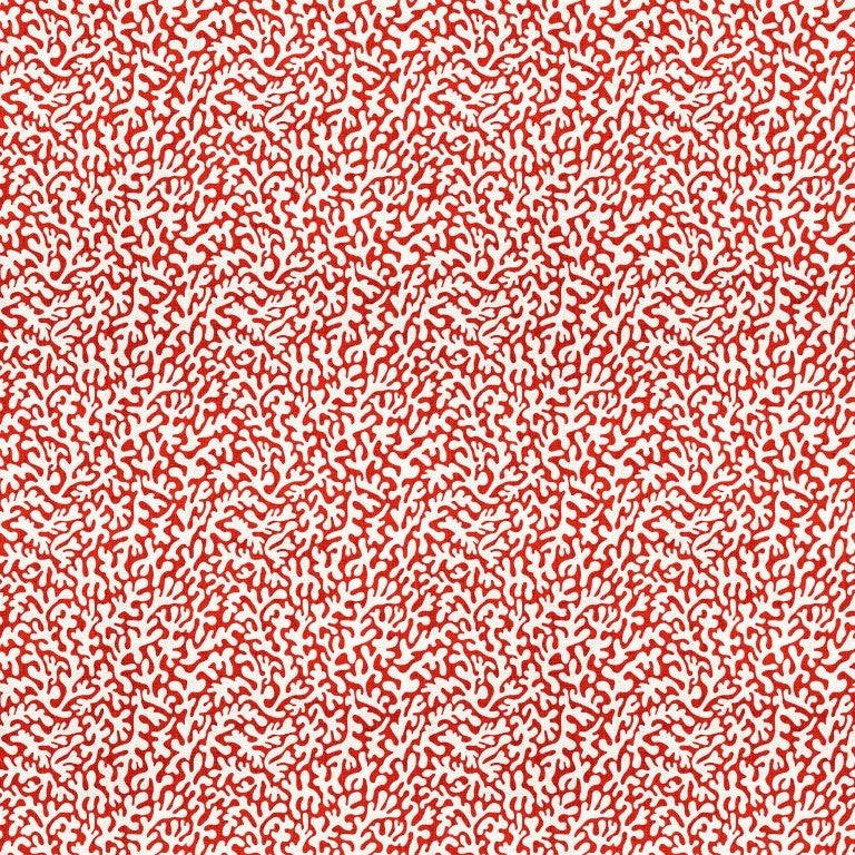 Coral - RED || TAKE ME TO THE BEACH || Northcott Studio