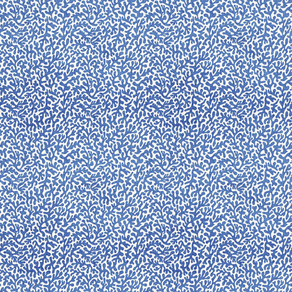 Coral - MD BLUE || TAKE ME TO THE BEACH || Northcott Studio