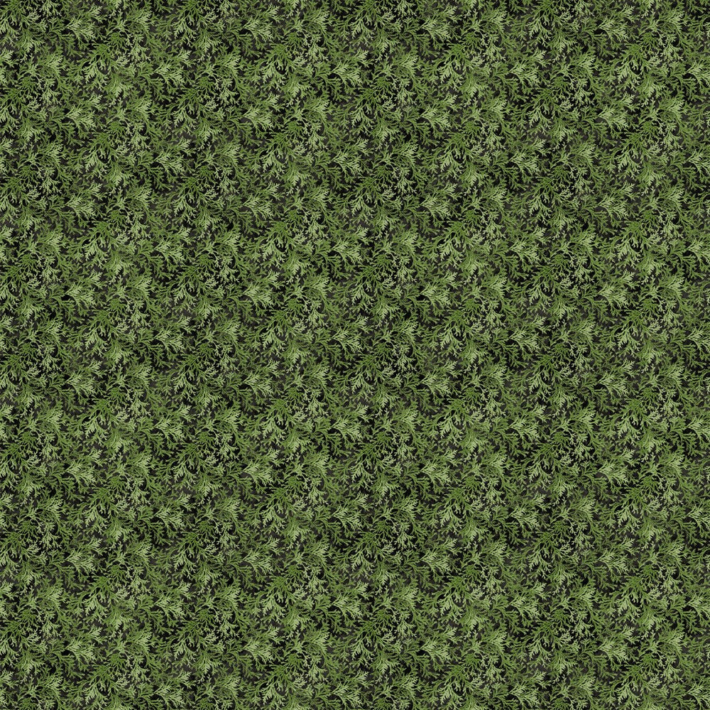 Cedar Toss - GREEN || WINTER WOODLAND || Northcott Studio