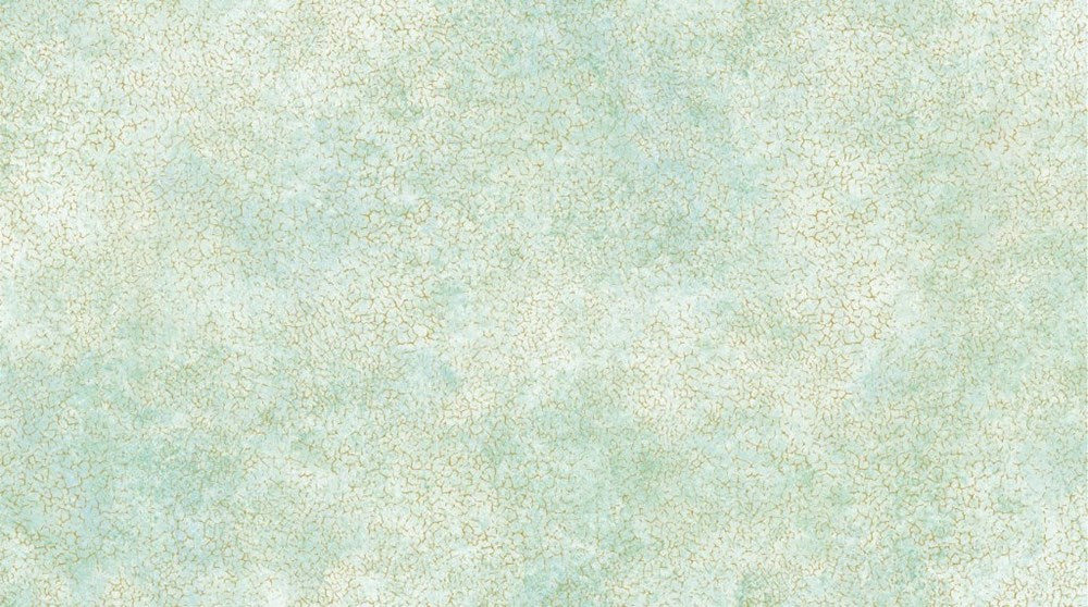 LIMESTONE - LT SEAFOAM || STONEHENGE VALENCIA || Northcott Studio