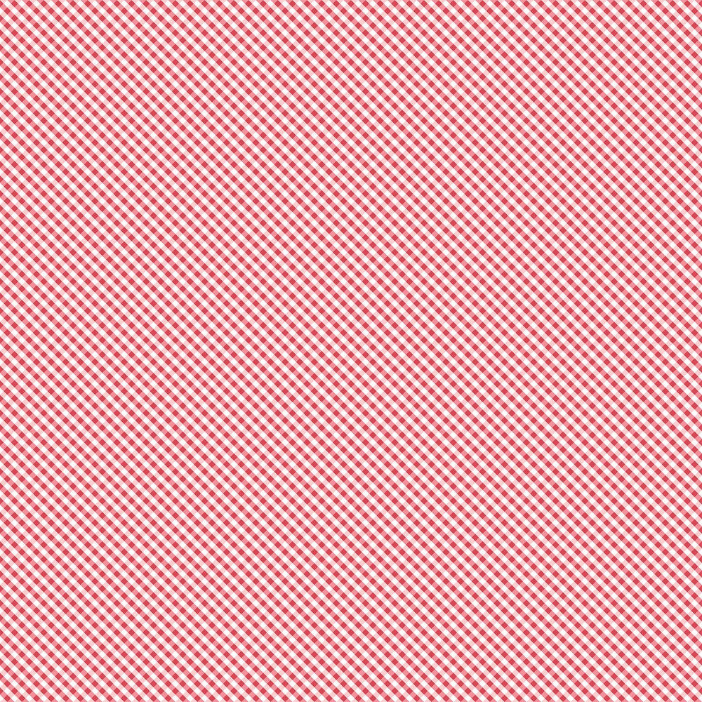 Gingham - PINK || WELL PRESERVED || Northcott Studio