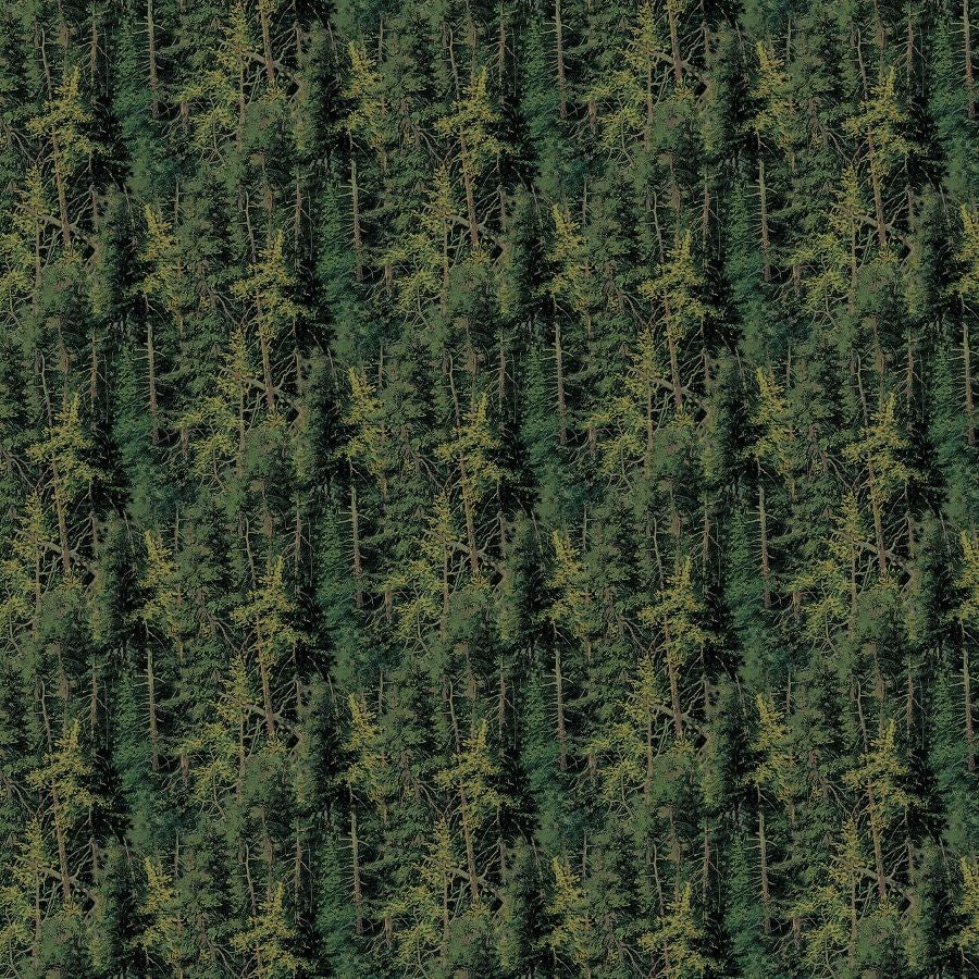 Evergreen Trees - GREEN || HIGHLAND RIDGE || Northcott Studio
