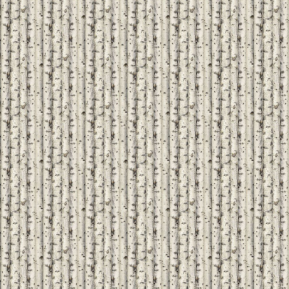 Birch - BEIGE || HIGHLAND RIDGE || Northcott Studio