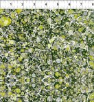 3JYM-2 ll Marble Essence