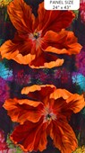 Tulip Drama - DEEP ORANGE || TULIP FESTIVAL || Frond Design Studio
