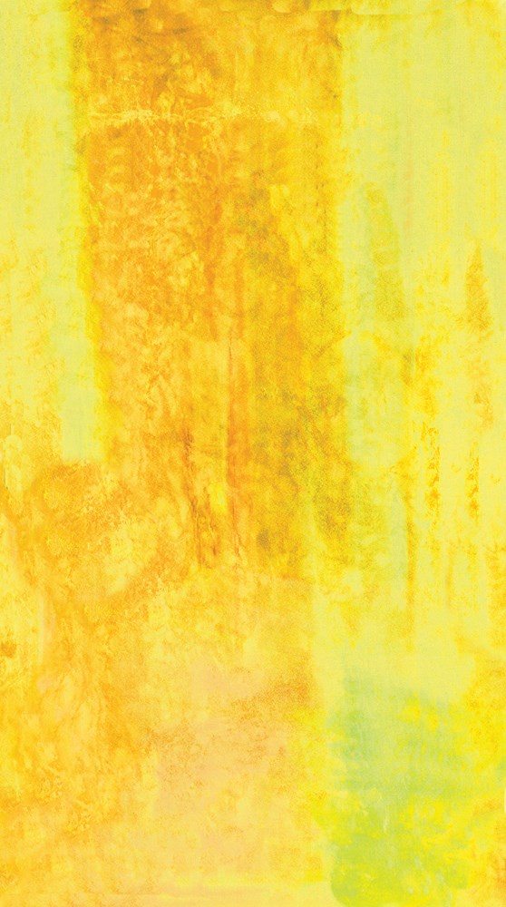 Watercolors - LEMON || LILY POND || Frond Design Studio