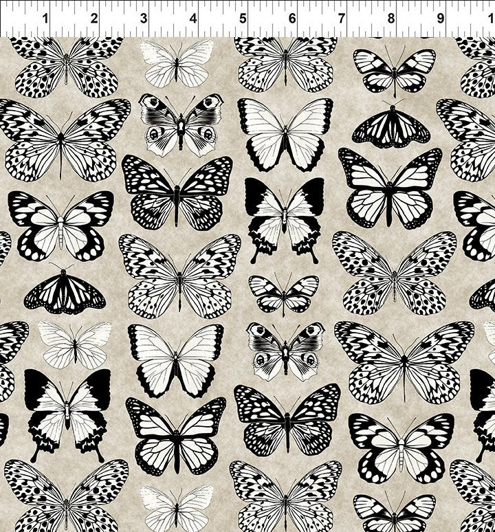 Sketchbook Prints - Butterflies || Sand || In the Beginning