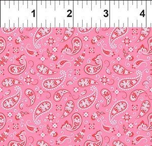 Go Cowgirl - Paisley || Pink || In the Beginning