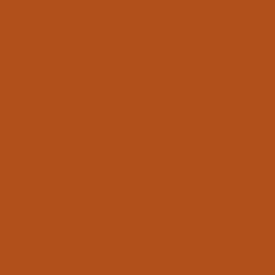 PREMIUM SOLIDS - CINNAMON STICK || COLORWORKS PREMIUM SOLID || Northcott Basic