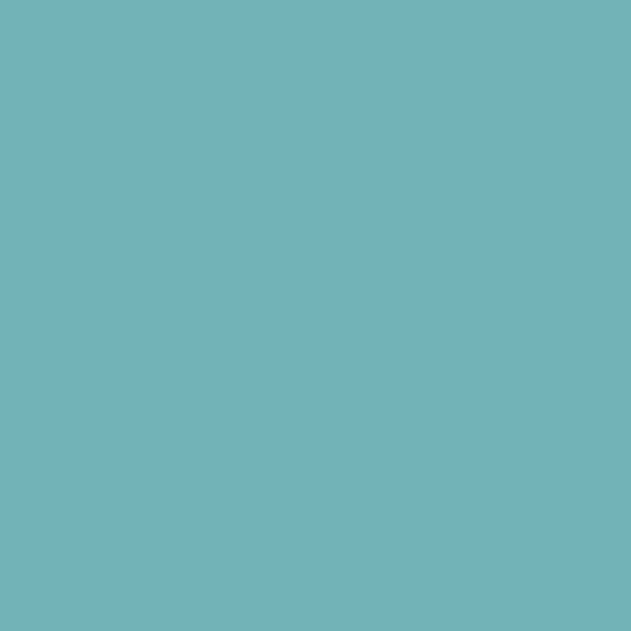 PREMIUM SOLIDS - TIFFANY || COLORWORKS PREMIUM SOLID || Northcott Basic