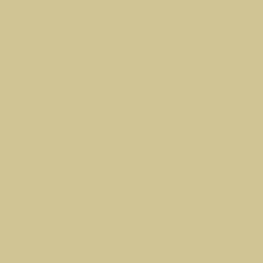 PREMIUM SOLIDS - MAPLE SUEDE || COLORWORKS PREMIUM SOLID || Northcott Basic
