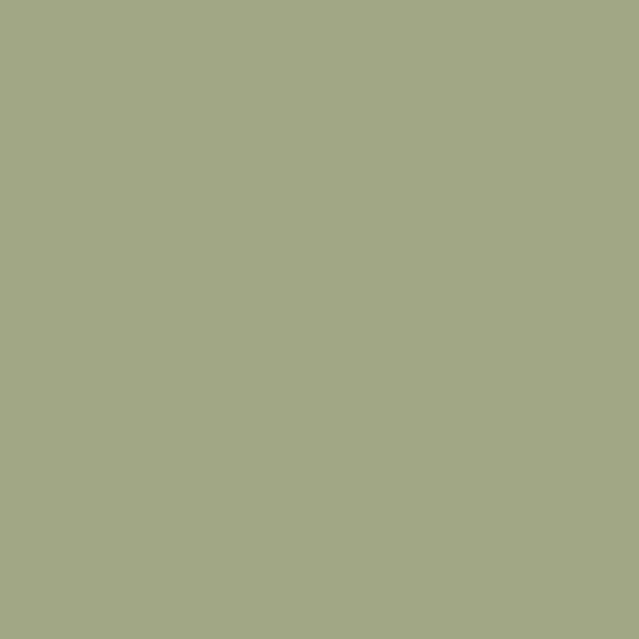 PREMIUM SOLIDS - DUSTY SAGE || COLORWORKS PREMIUM SOLID || Northcott Basic