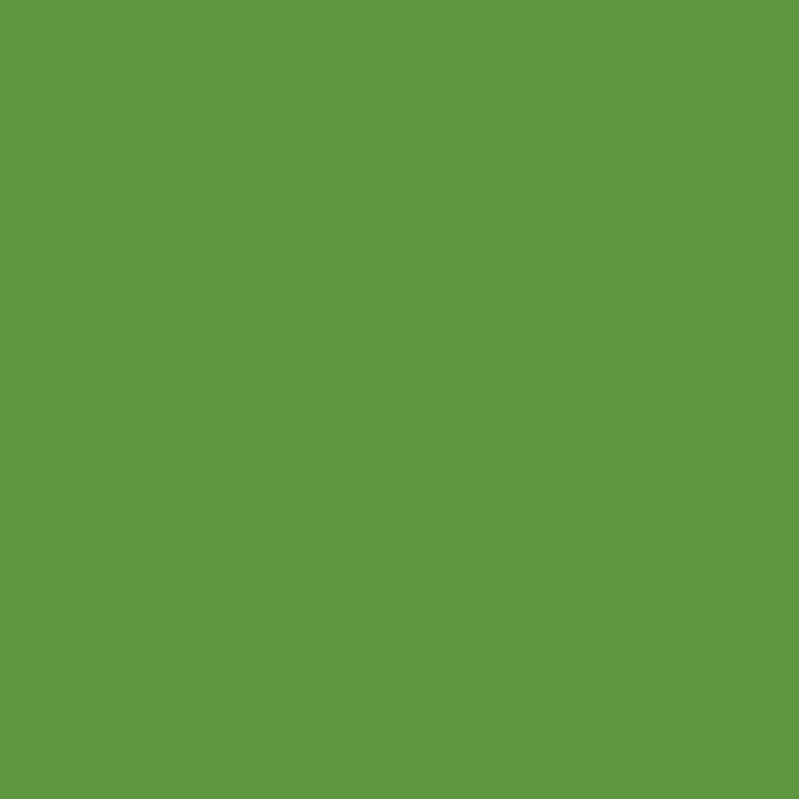 PREMIUM SOLIDS - GECKO || COLORWORKS PREMIUM SOLID || Northcott Basic