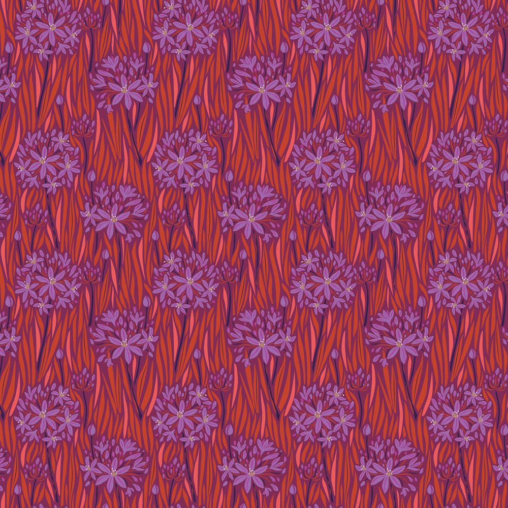 AGAPANTHA - WARM  || WANDERING EYE || FIGO Studio