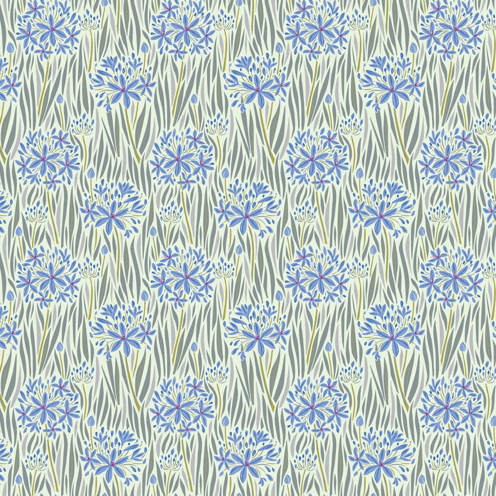 AGAPANTHA - COOL || WANDERING EYE || FIGO Studio