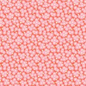 DEAR DAISY - CLEMENTINE || DAISY CRUSH || FIGO Studio