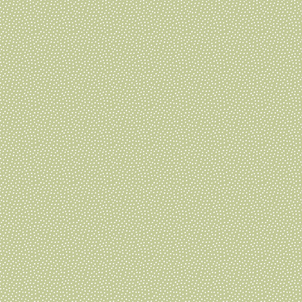 Dots - Green  || STORY BOOK || FIGO Studio