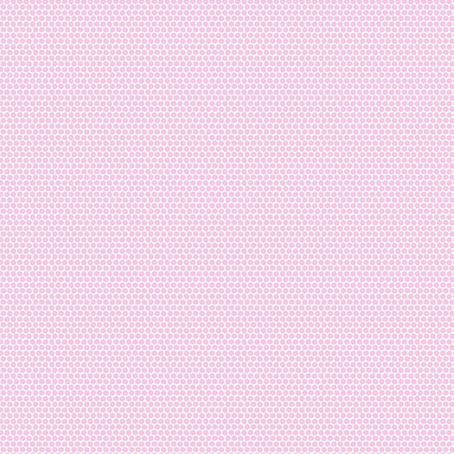 DIANTHUS - PINK || DELIGHT || FIGO Studio