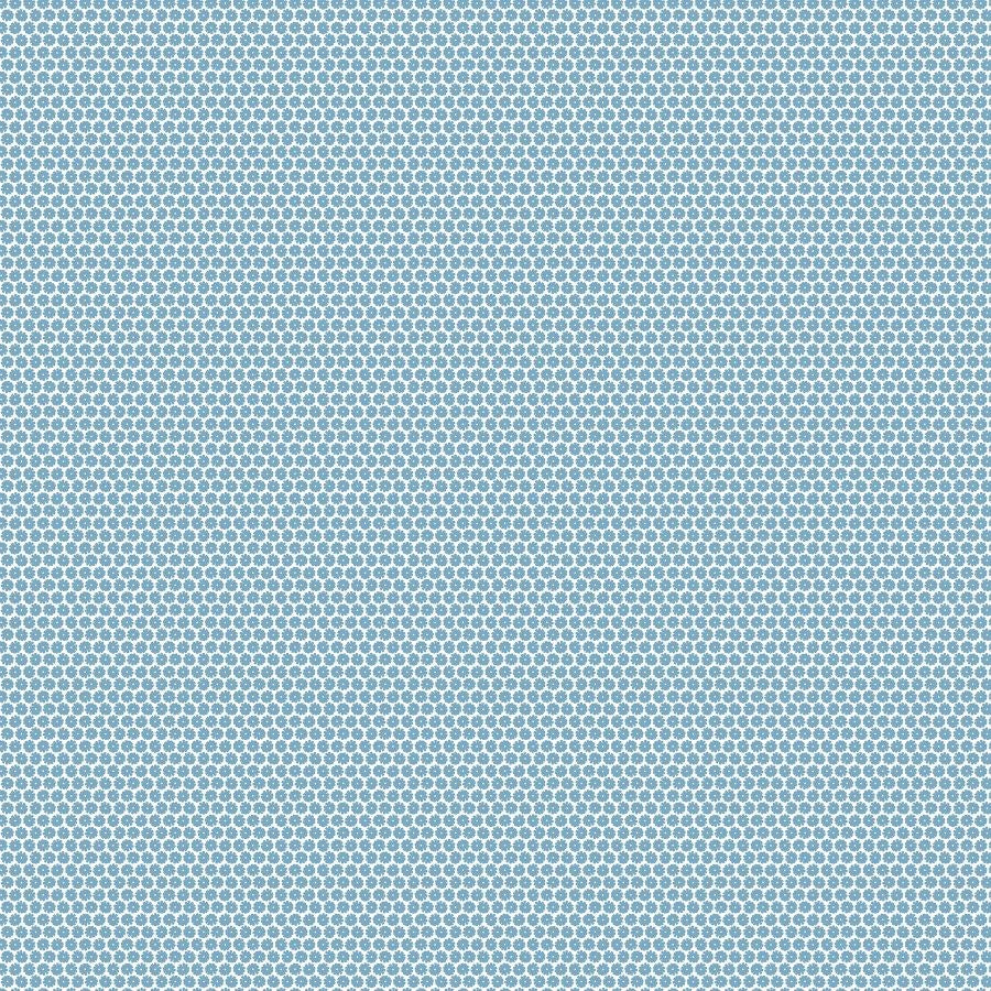 DIANTHUS - BLUE || DELIGHT || FIGO Studio