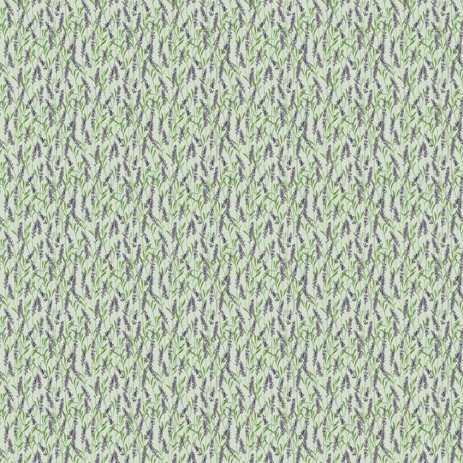 LAVENDER - Green  || SUN PATCH || FIGO Studio
