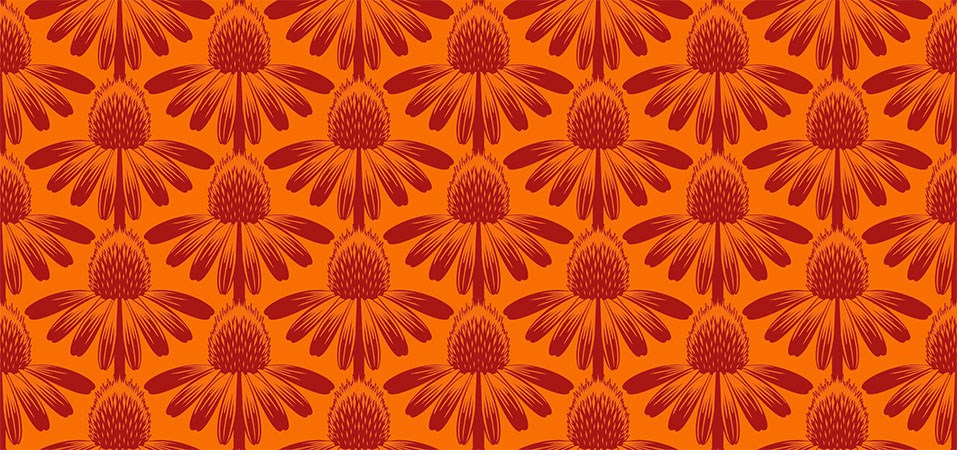 CONEFLOWER - TANGERINE || INDELIBLE || Anna Maria Textiles Basics