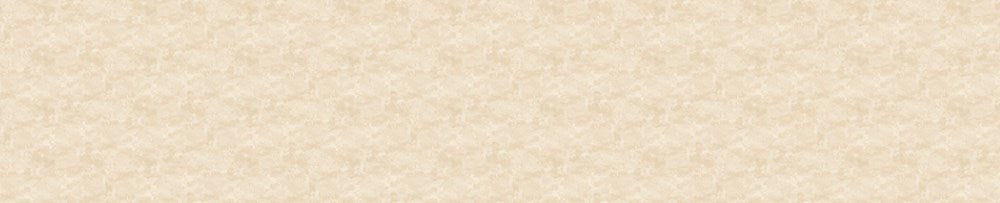 TOSCANA 118" WB - TOASTED MARSHMALLOW || TOSCANA 118" WIDE BACKING || Northcott Basic