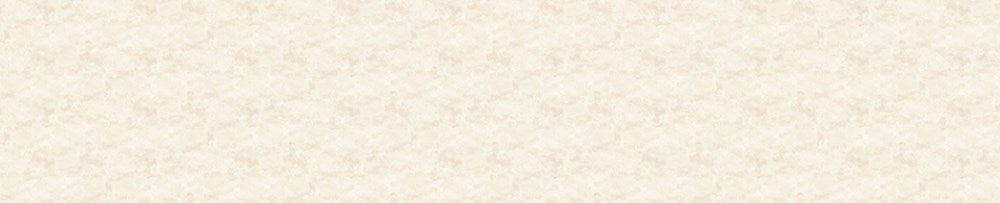TOSCANA 118" WB - VANILLA || TOSCANA 118" WIDE BACKING || Northcott Basic