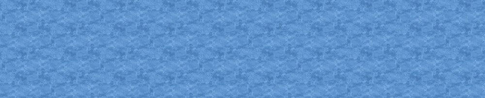 TOSCANA 118" WB - GOT THE BLUES || TOSCANA 118" WIDE BACKING || Northcott Basic