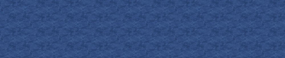 TOSCANA 118" WB - PATRIOT BLUE || TOSCANA 118" WIDE BACKING || Northcott Basic