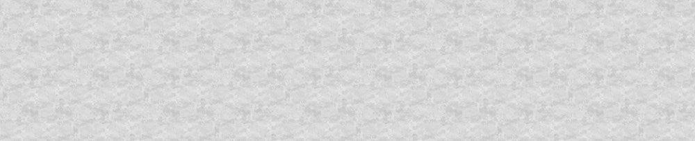 TOSCANA 118" WB - SILVER LINING || TOSCANA 118" WIDE BACKING || Northcott Basic