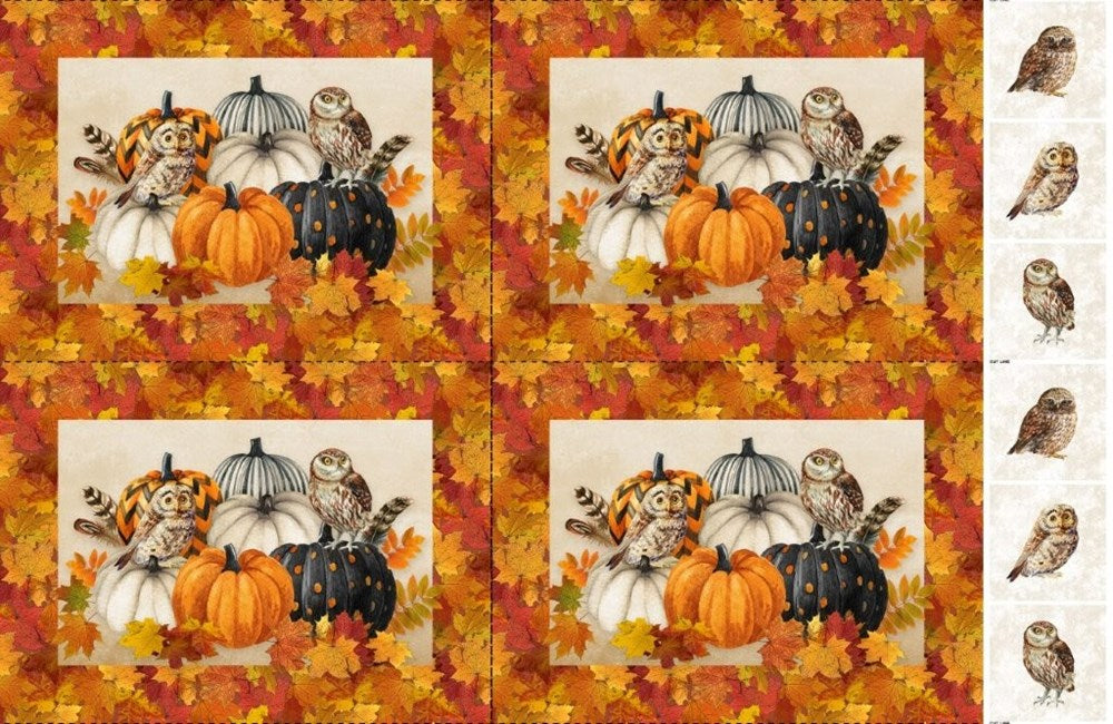 Placemats - BEIGE MULTI || NIGHT OWL || Northcott Studio