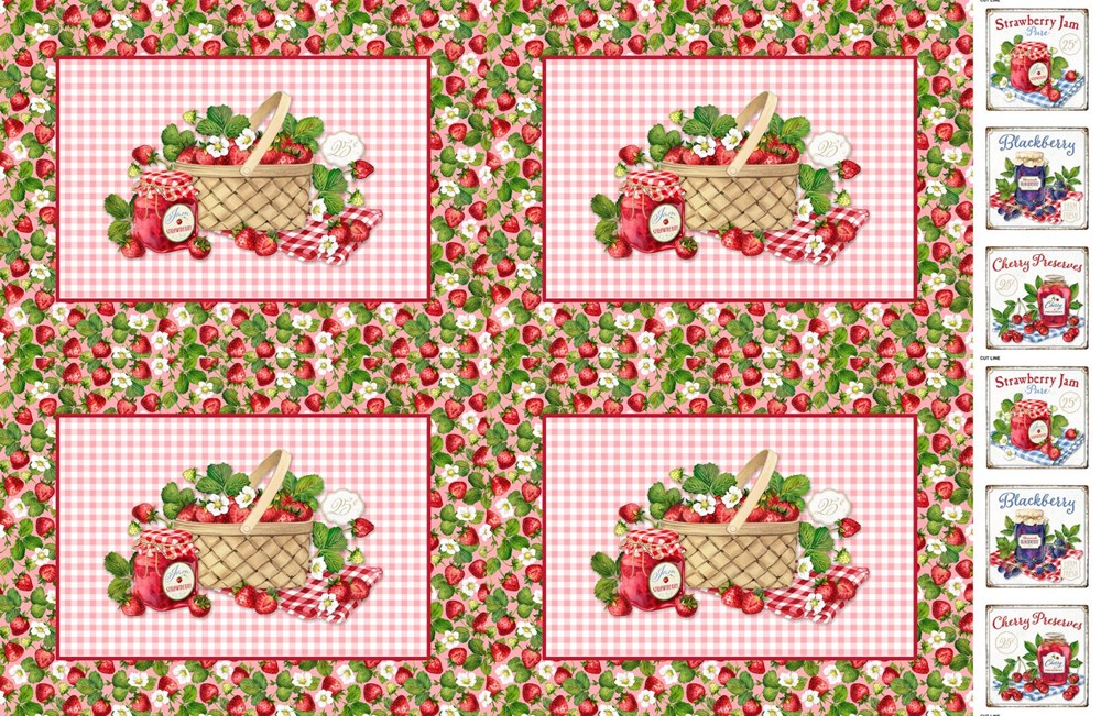 Placemats - WHITE MULTI || WELL PRESERVED || Northcott Studio
